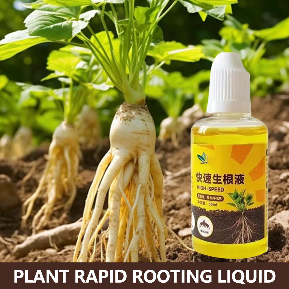 Root Stimulator Liquid - Green Plant Root Stimulator Liquid Cutting