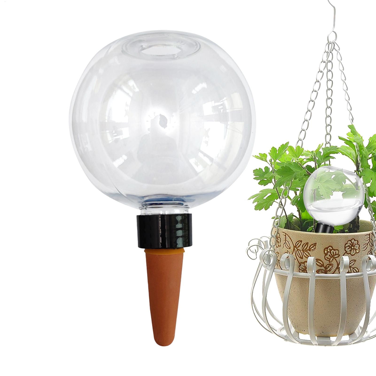 500ml Automatic Watering Globe - đánh giá và giá Self Watering Insert