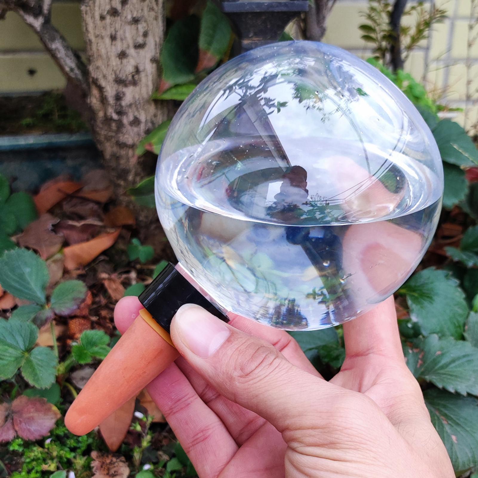 500ml Automatic Watering Globe - đánh giá và giá Self Watering Insert