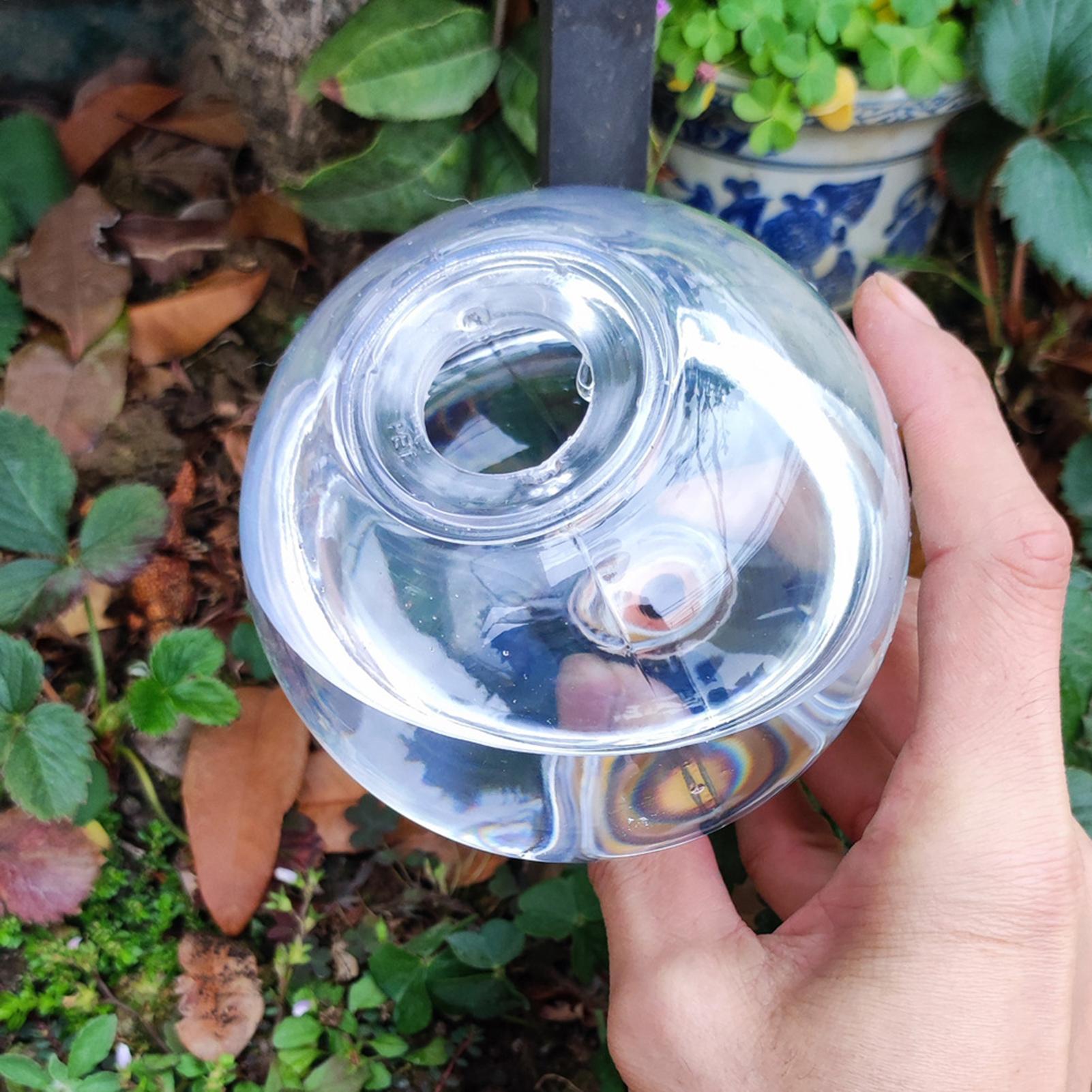 500ml Automatic Watering Globe - đánh giá và giá Self Watering Insert