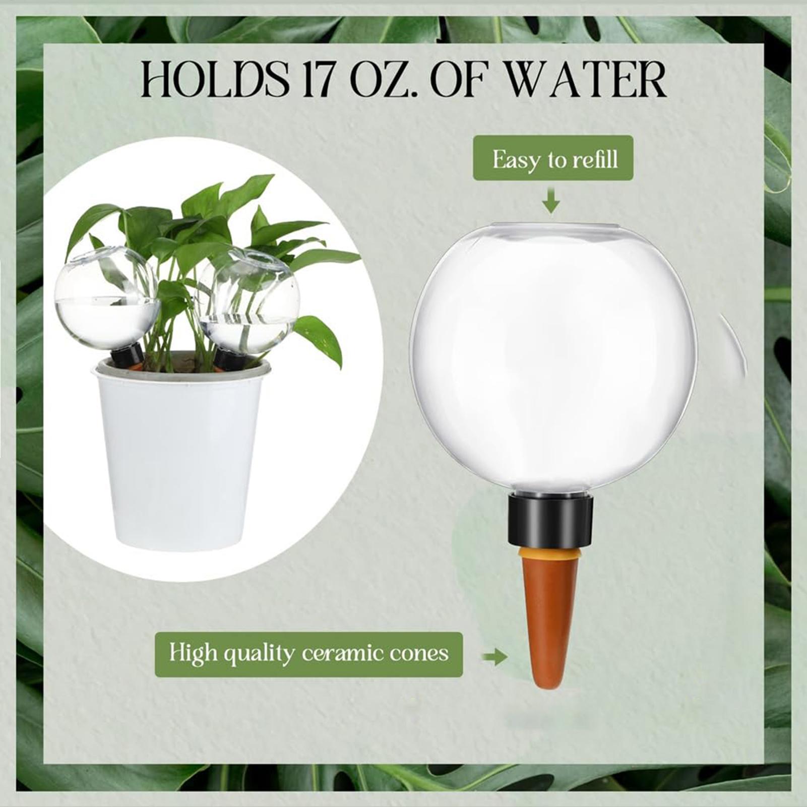 500ml Automatic Watering Globe - đánh giá và giá Self Watering Insert