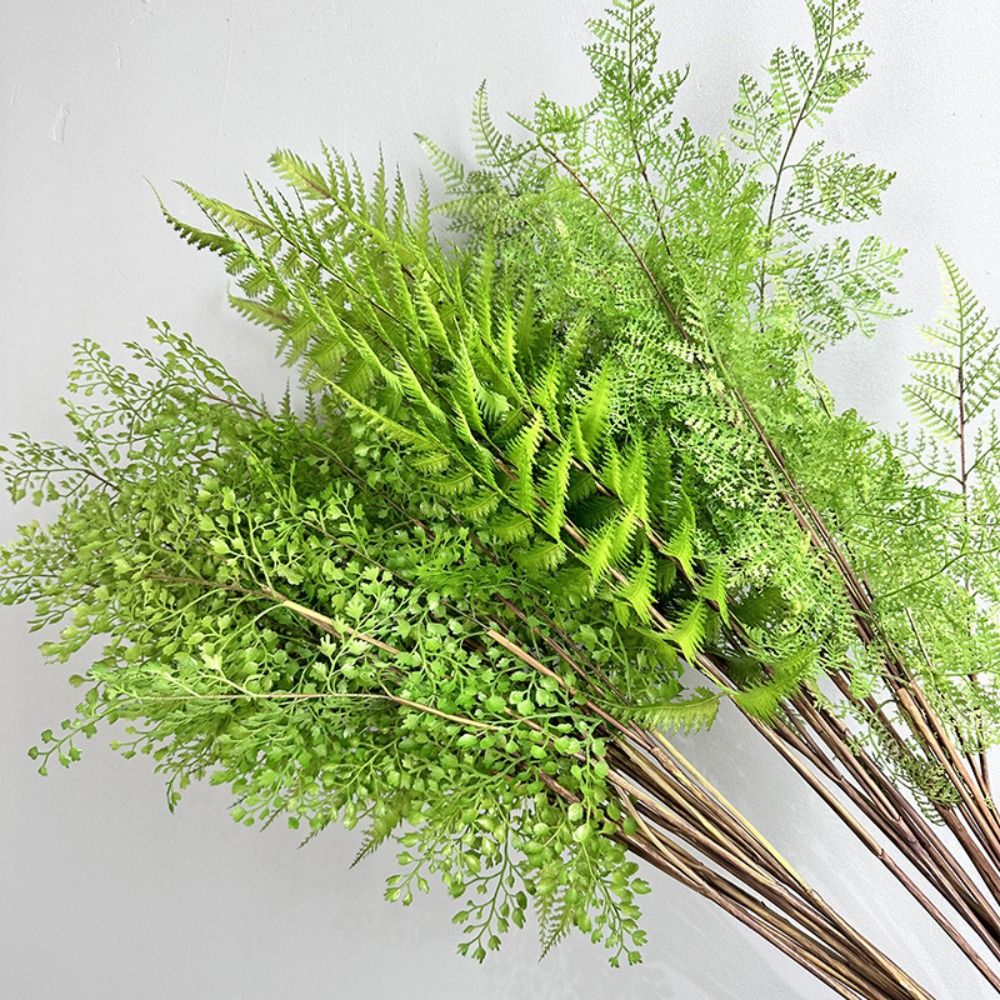 Realistic Artificial Fern Plan - đánh giá và giá Sphagnum Moss Dry