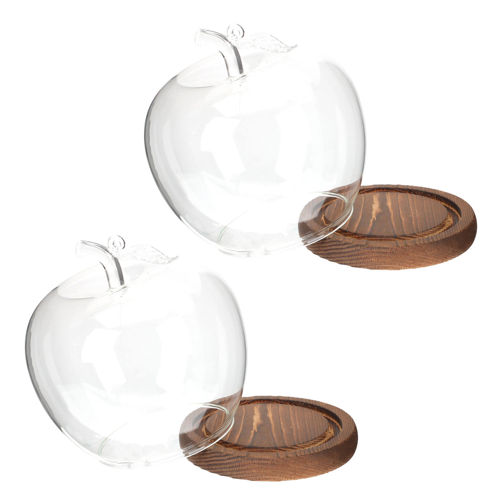 2Pcs Glass Cloche Dome with Wo - đánh giá và giá Plastic Dome Clear